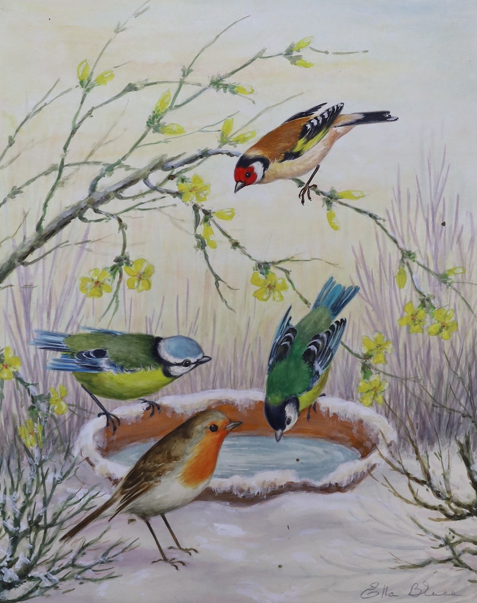 Ella Bruce, (20th century British), four watercolours on card, garden birds, signed, unframed, 23 x 18cm